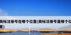 商标注册号在哪个位置(商标注册号是哪个位置)