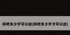 网吧多少岁可以进(网吧多少岁才可以进)
