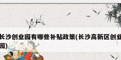 长沙创业园有哪些补贴政策(长沙高新区创业园)