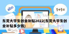 东莞大学生创业补贴2022(东莞大学生创业补贴多少钱)