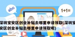 深圳宝安区创业补贴去哪里申请领取(深圳宝安区创业补贴去哪里申请领取呢)