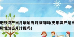 无形资产当月增加当月摊销吗(无形资产是当月增加当月计提吗)
