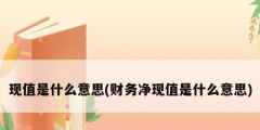 现值是什么意思(财务净现值是什么意思)