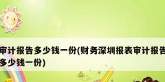审计报告多少钱一份(财务深圳报表审计报告多少钱一份)