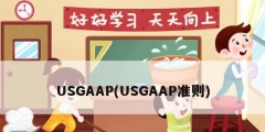 USGAAP(USGAAP准则)