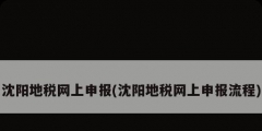 沈阳地税网上申报(沈阳地税网上申报流程)