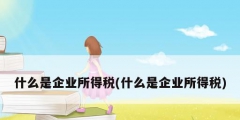 什么是企业所得税(什么是企业所得税)