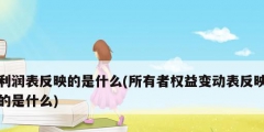 利润表反映的是什么(所有者权益变动表反映的是什么)
