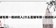 辅导期一般纳税人(什么是辅导期一般纳税人)