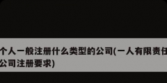个人一般注册什么类型的公司(一人有限责任公司注册要求)