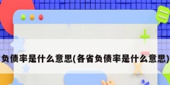 负债率是什么意思(各省负债率是什么意思)