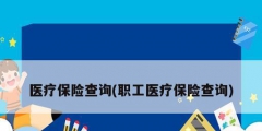 医疗保险查询(职工医疗保险查询)