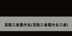五险二金是什么(五险二金是什么二金)