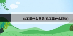 总工是什么意思(总工是什么职称)