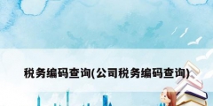 税务编码查询(公司税务编码查询)