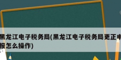 黑龙江电子税务局(黑龙江电子税务局更正申报怎么操作)