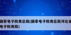 国家电子税务总局(国家电子税务总局河北省电子税务局)