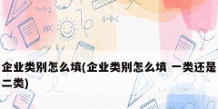企业类别怎么填(企业类别怎么填 一类还是二类)