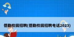 德勤校园招聘(德勤校园招聘电话2023)