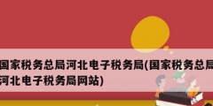 国家税务总局河北电子税务局(国家税务总局河北电子税务局网站)