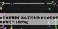 金税盘开票软件怎么下载安装(青岛金税盘开票软件怎么下载安装)