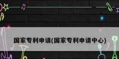 国家专利申请(国家专利申请中心)