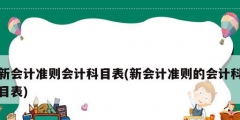 新会计准则会计科目表(新会计准则的会计科目表)