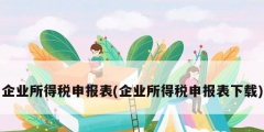 企业所得税申报表(企业所得税申报表下载)