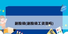 副股级(副股级工资涨吗)