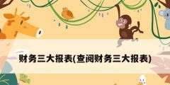 财务三大报表(查阅财务三大报表)
