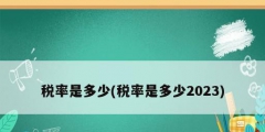 税率是多少(税率是多少2023)