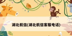 湖北航信(湖北航信客服电话)