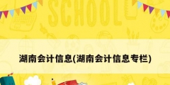 湖南会计信息(湖南会计信息专栏)