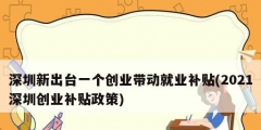 深圳新出台一个创业带动就业补贴(2021深圳创业补贴政策)