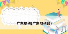 广东地税(广东地税网)