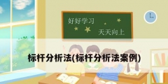 标杆分析法(标杆分析法案例)