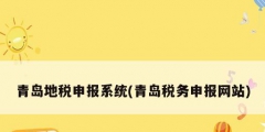 青岛地税申报系统(青岛税务申报网站)