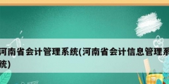 河南省会计管理系统(河南省会计信息管理系统)