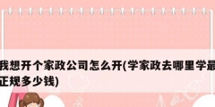 我想开个家政公司怎么开(学家政去哪里学最正规多少钱)