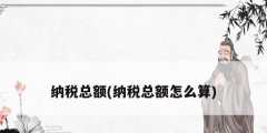 纳税总额(纳税总额怎么算)